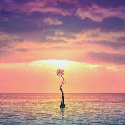 ballbet贝博官网app截图